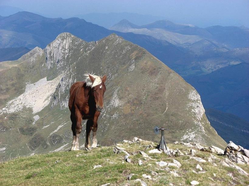 Xardekagaina / Barazea, Kartxelatik