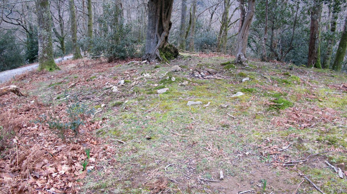 Lizarlan tumulua,Biriatu