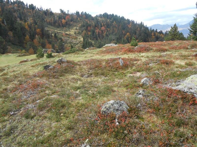 plateau de gouetsoule 1