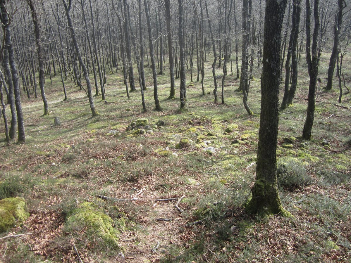 Túmulo Miztortegieta  (Marzo 2014)