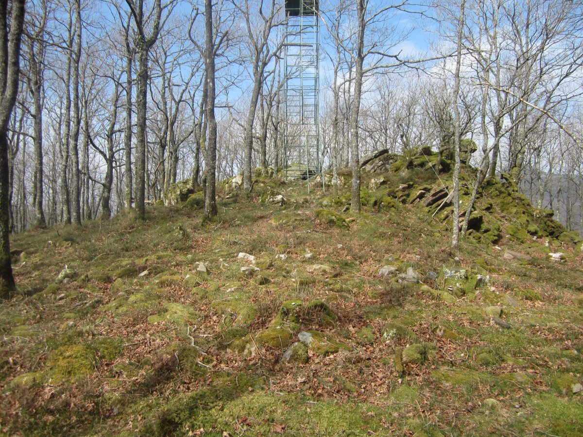 Túmulo Miztortegieta  (Marzo 2014)