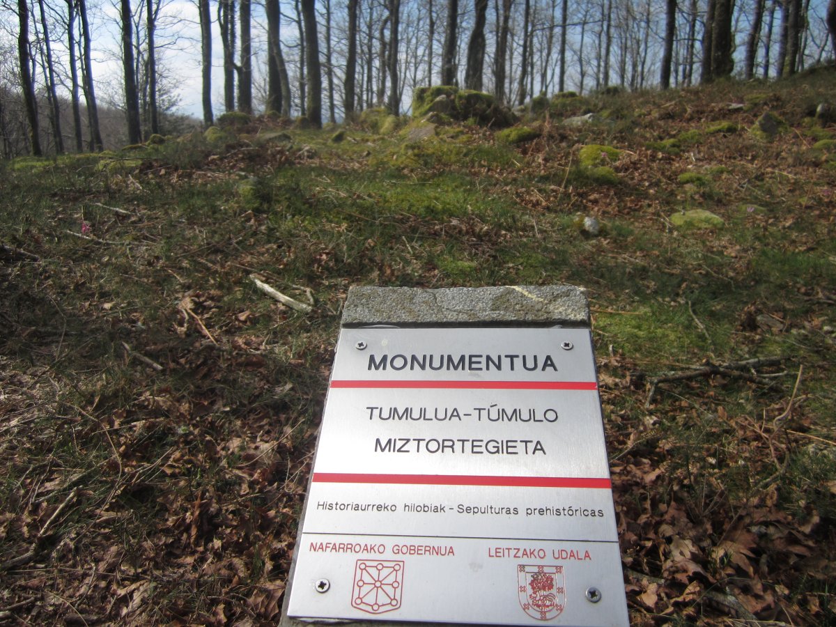 Túmulo Miztortegieta (Marzo 2014)