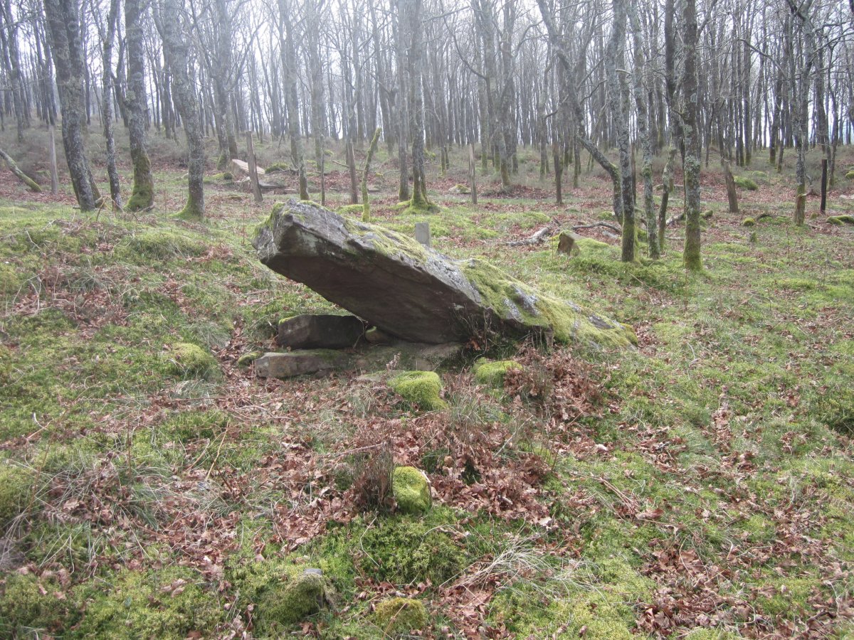 Menhir Iruso  (Marzo  2014)