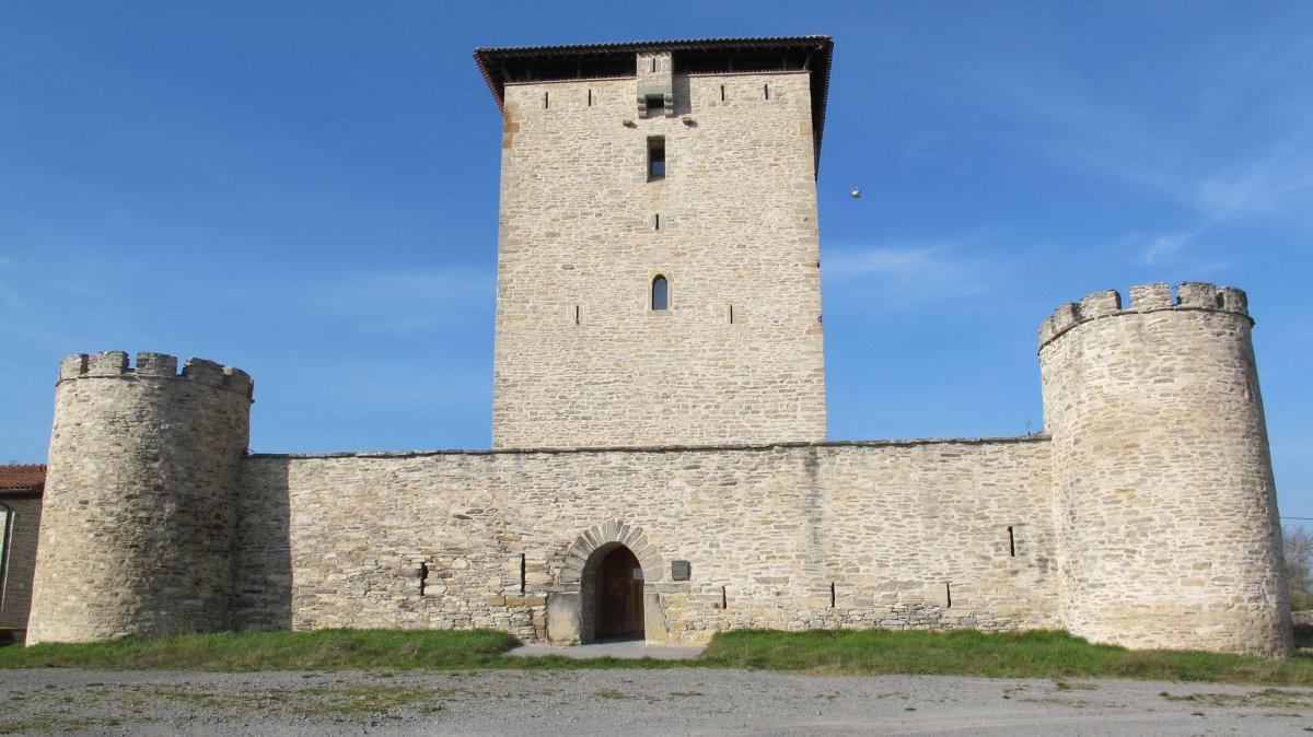 Mendozatarren Dorrea, Mendoza