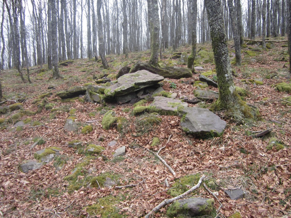 Dólmen Txara  (Marzo 2014)