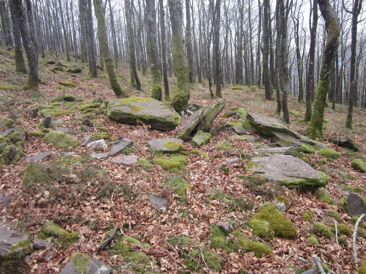 Dólmen Txara  (Marzo 2014)