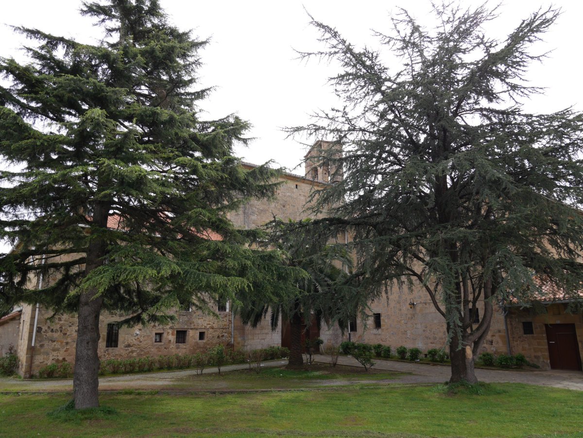 Frantziskotarren komentua, Zarautz