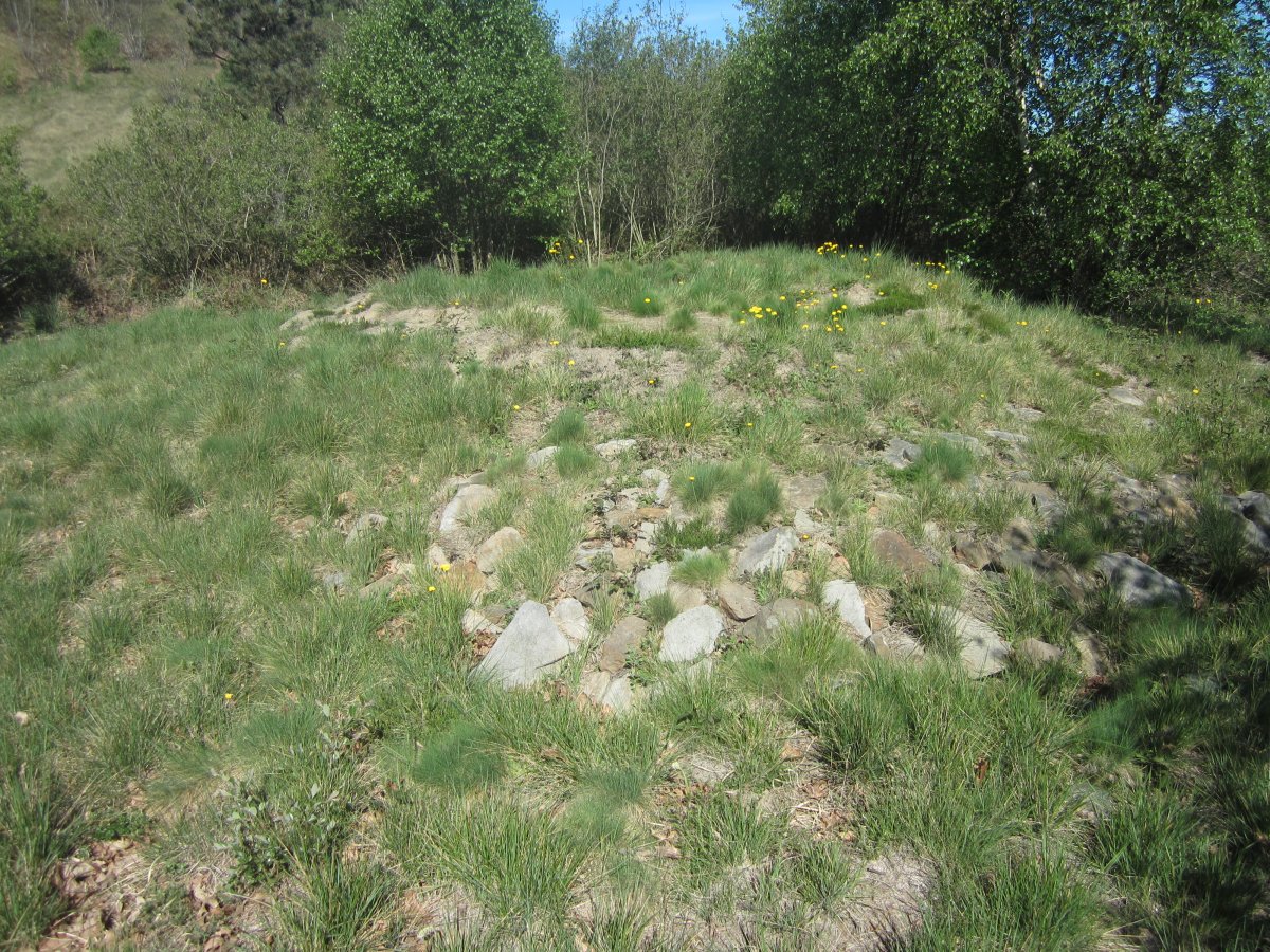 Túmulo Gazteluko Landa (Abril 2014)