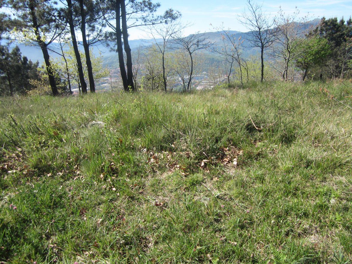 Túmulo Hirumugarrieta 2  (Abril 2014)