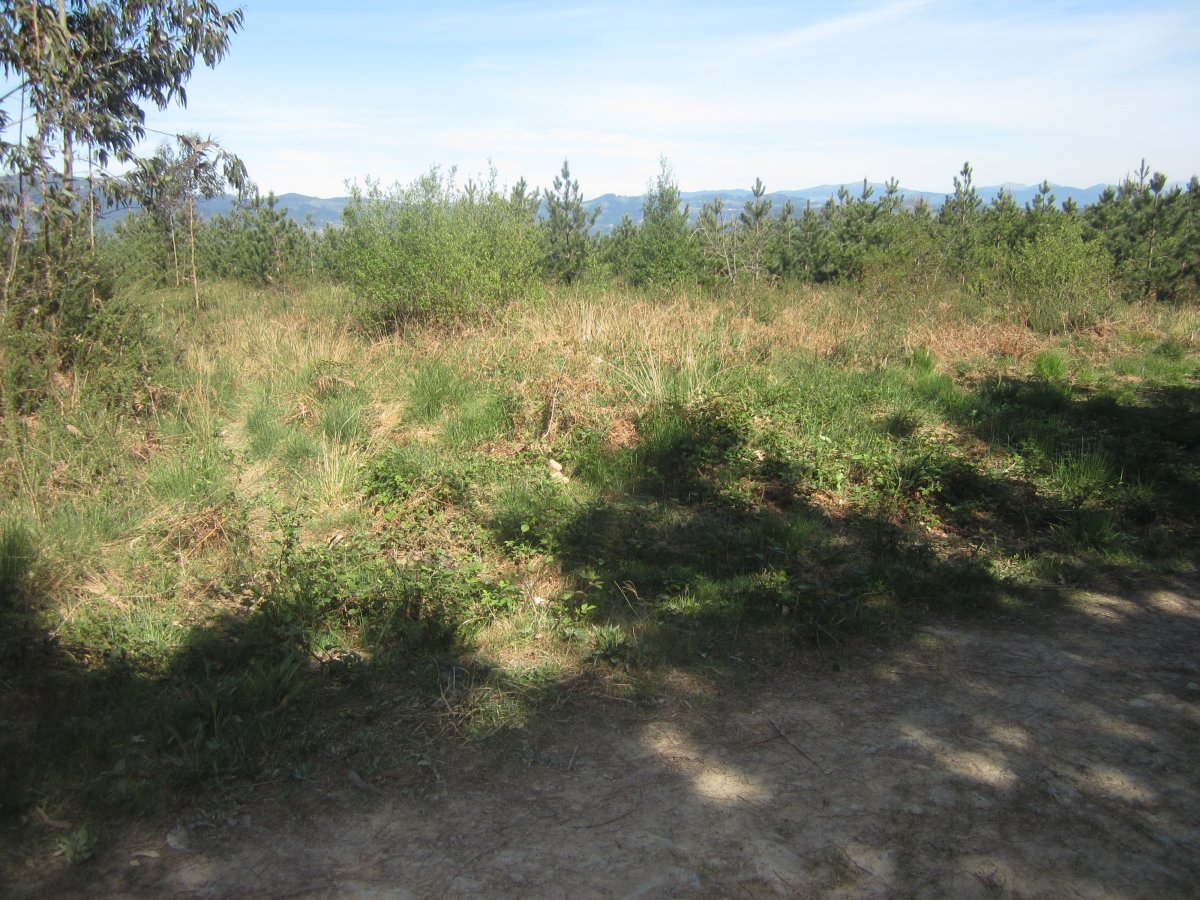 Túmulo Eperlanda (Abril 2014)