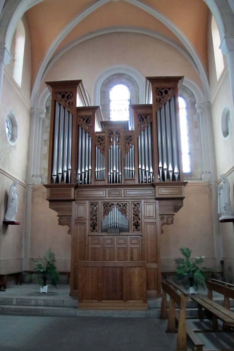 Notre Dame eliza, Bokale