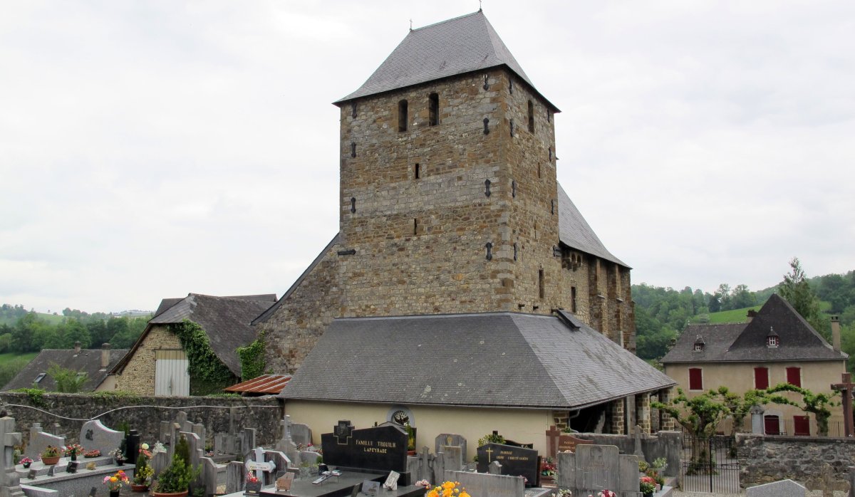 Asuncion eliza, Montori