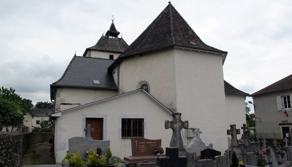 Asunción eliza, Mendikota