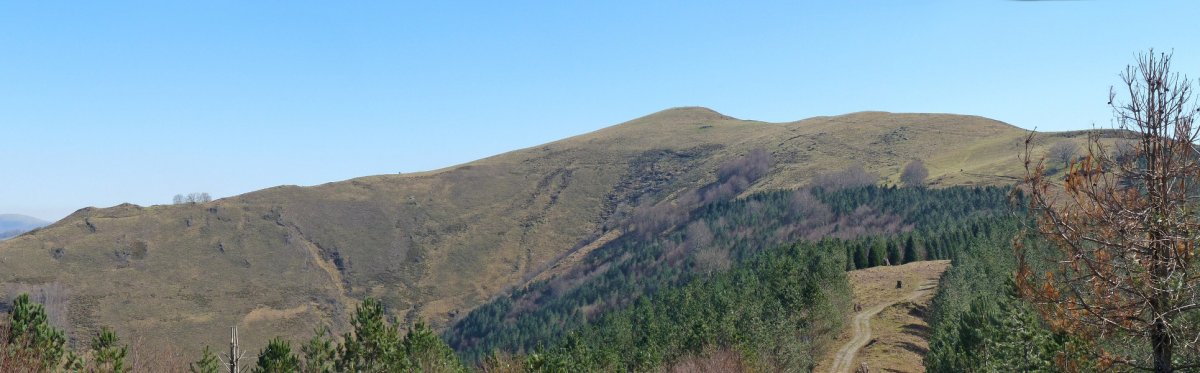 Menditxorrotx eta Kokori, Loitatik