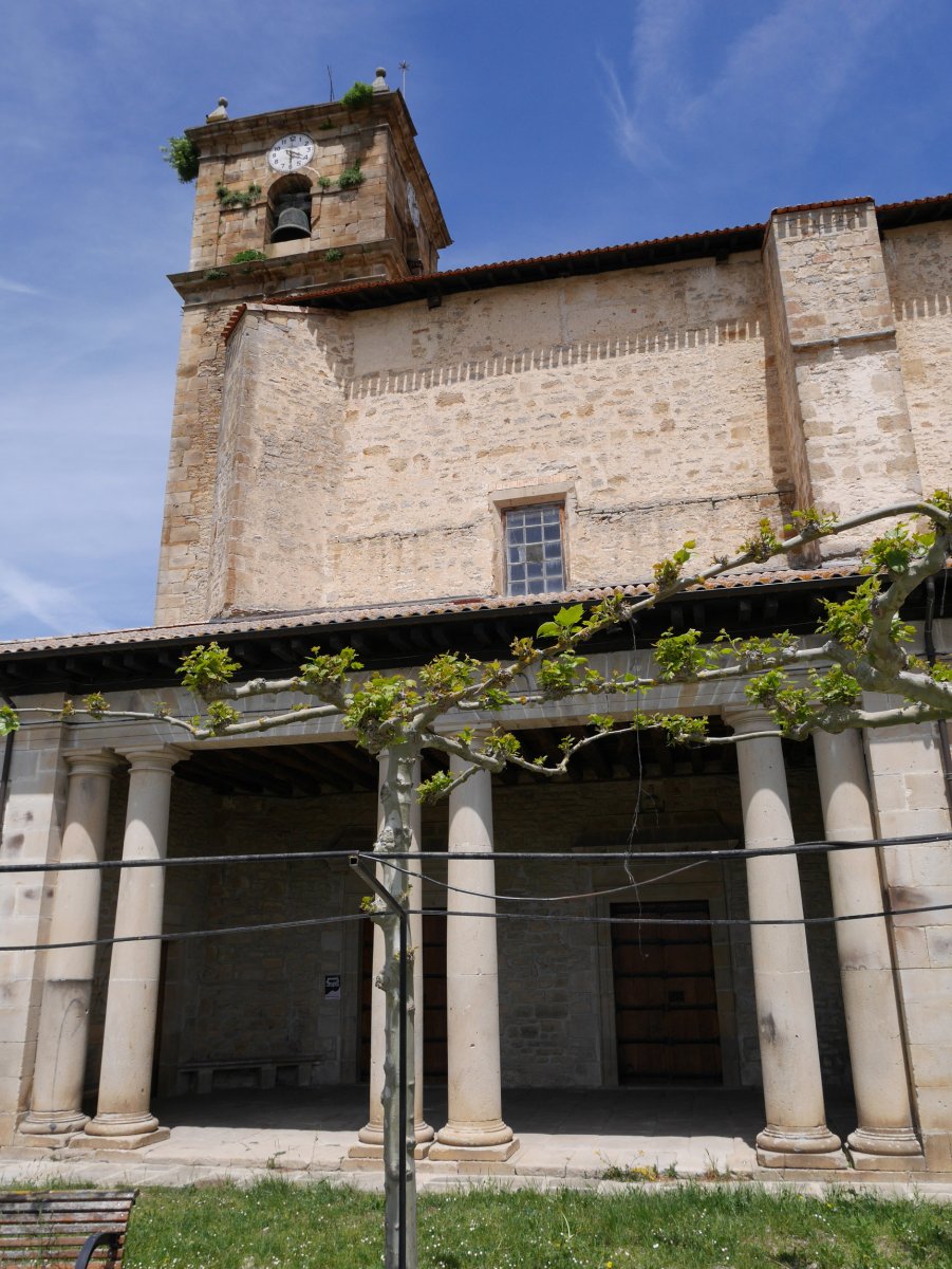 San Esteban eliza, Narbaxa