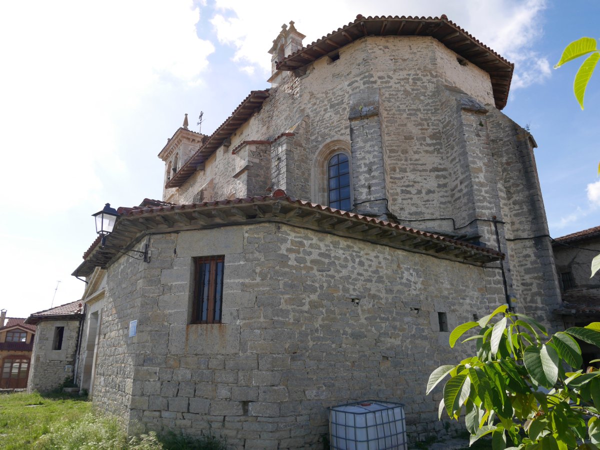 Donemiliaga eliza, Zuhatzu