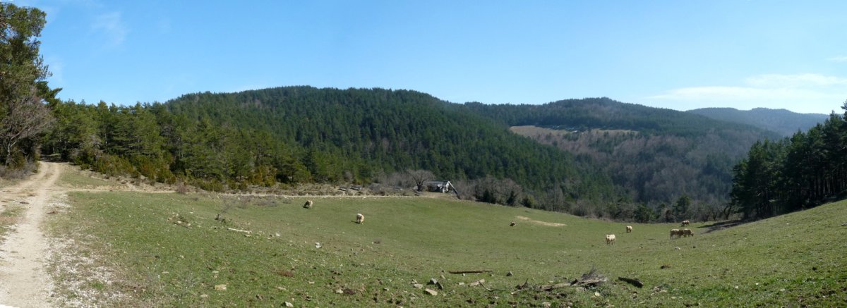 Atuzkarrazko paisaiak