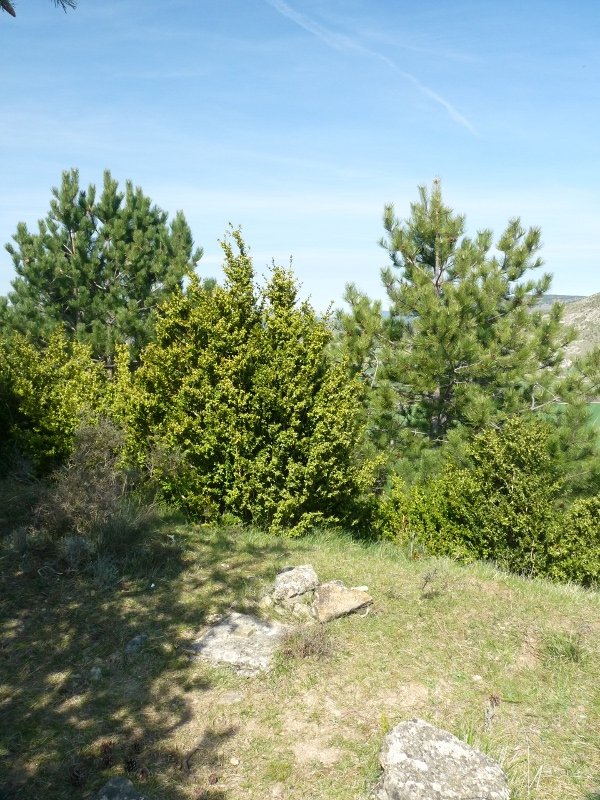 Zarbetako gailurra, tako geodesikoa eta guzti