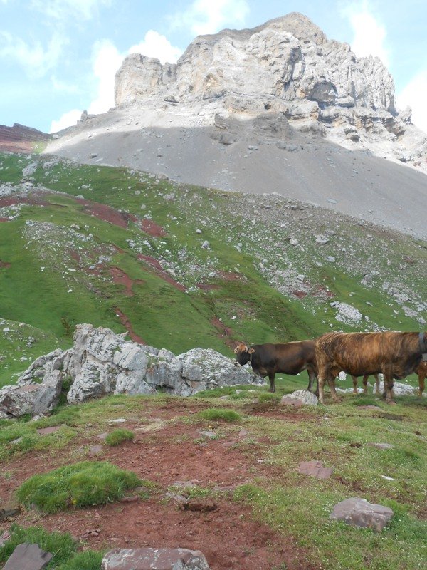 barranco barcal alto oeste
