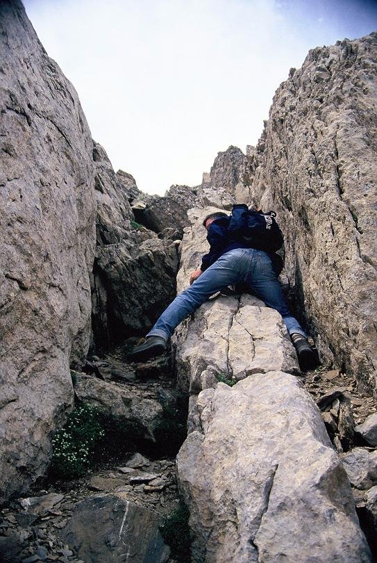 Tximinia, Hiru Errege / La Table artean