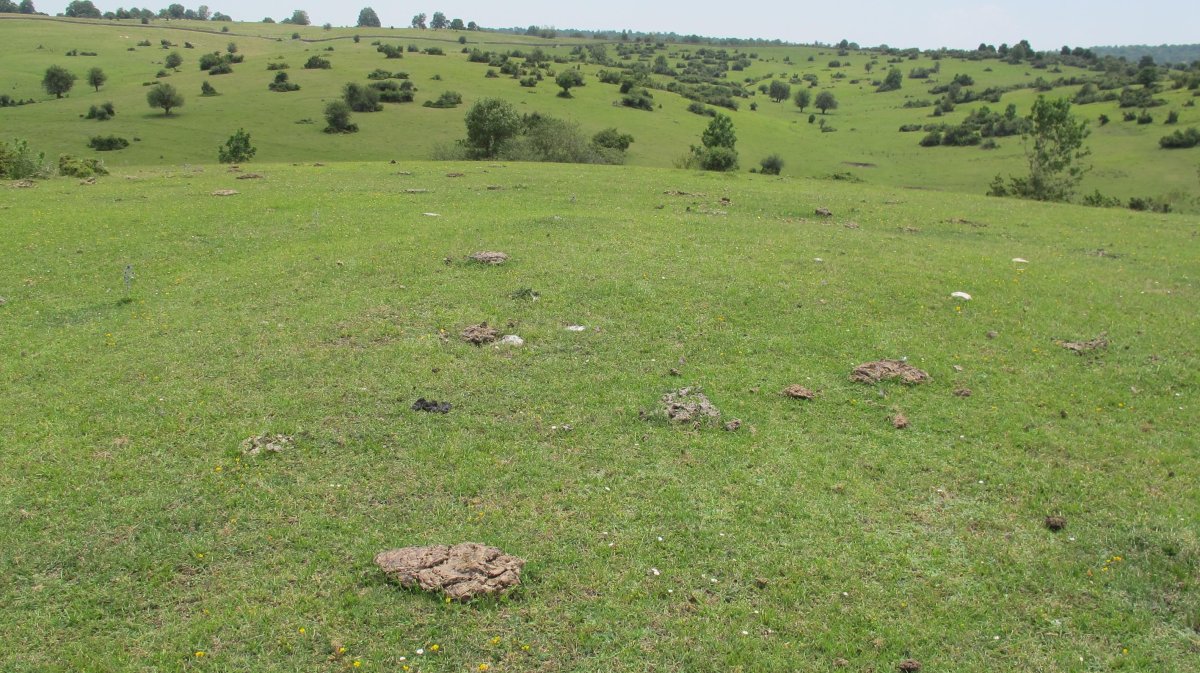 Alto de Errekasanta 2 tumulua, Urbasa