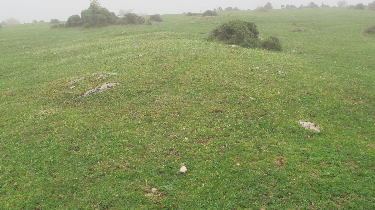 Arantzaduia 3 etxola hondoa, Limitaciones