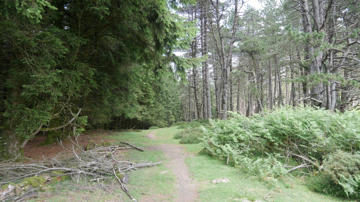 Artikutza aldeko pasarte bat