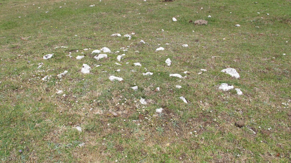 Atauko Mendatea 7 tumulua, Entzia