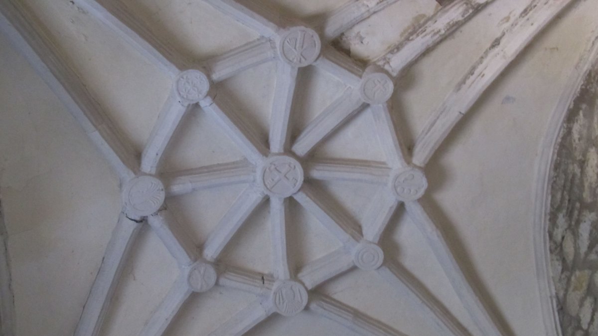 Santiago eliza, Aprikano