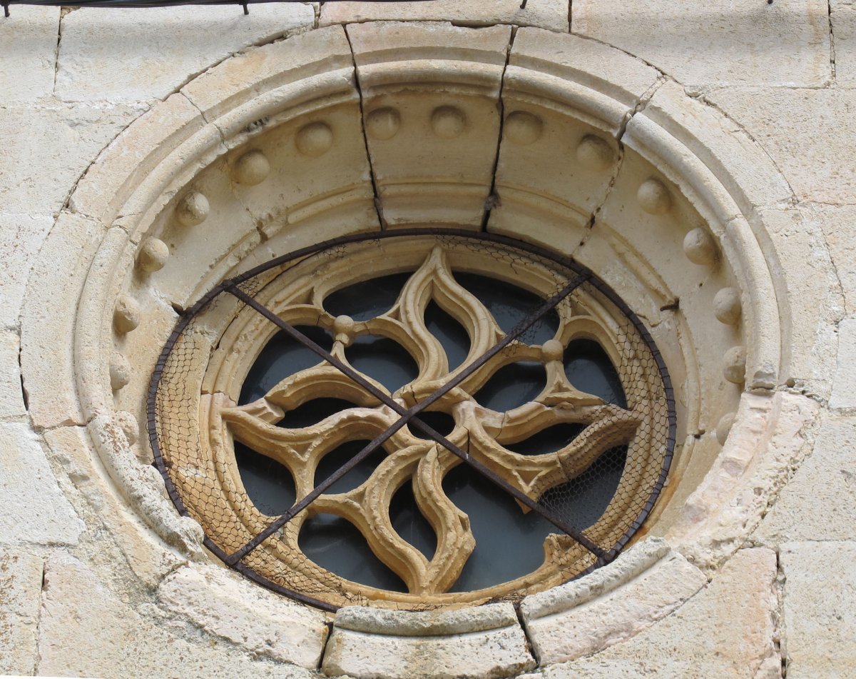 Asuncion eliza, Bikuña