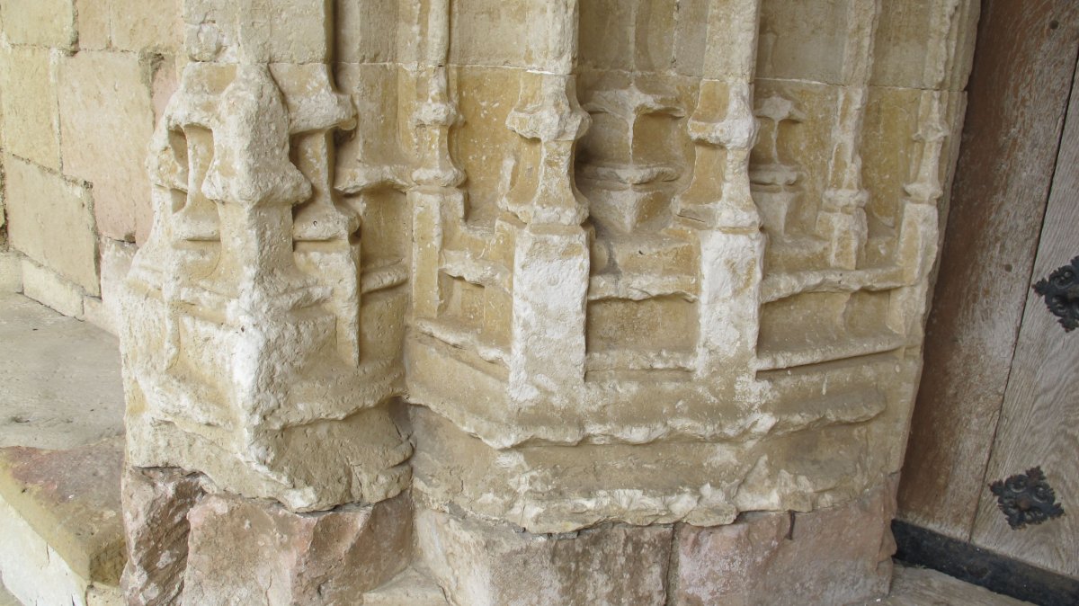 Asuncion eliza, Bikuña