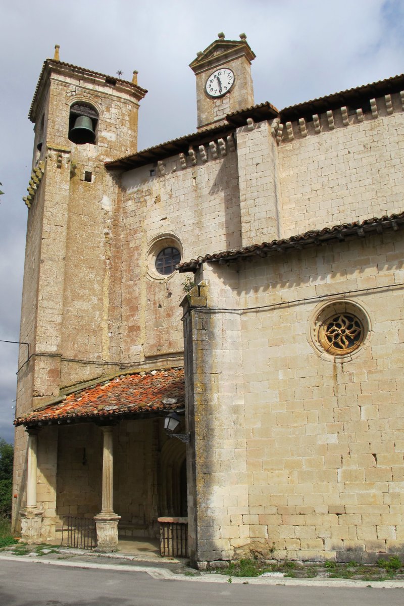 Asuncion eliza, Bikuña