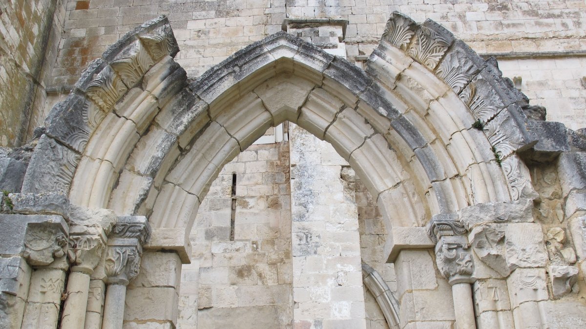 Andra Maria eliza, Okariz