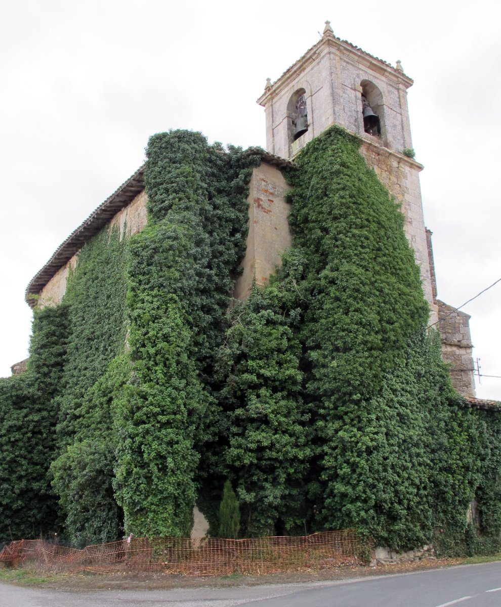 Andra Maria eliza, Langarika