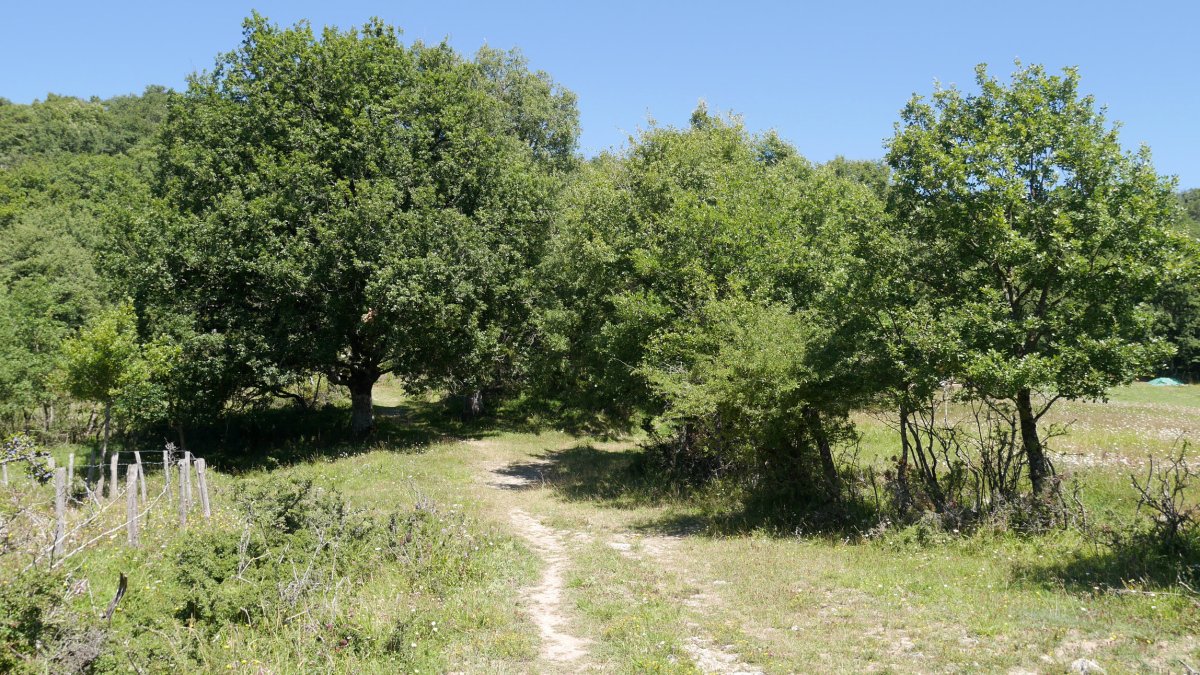 Etxeberri aldeko bideko pasarte bat