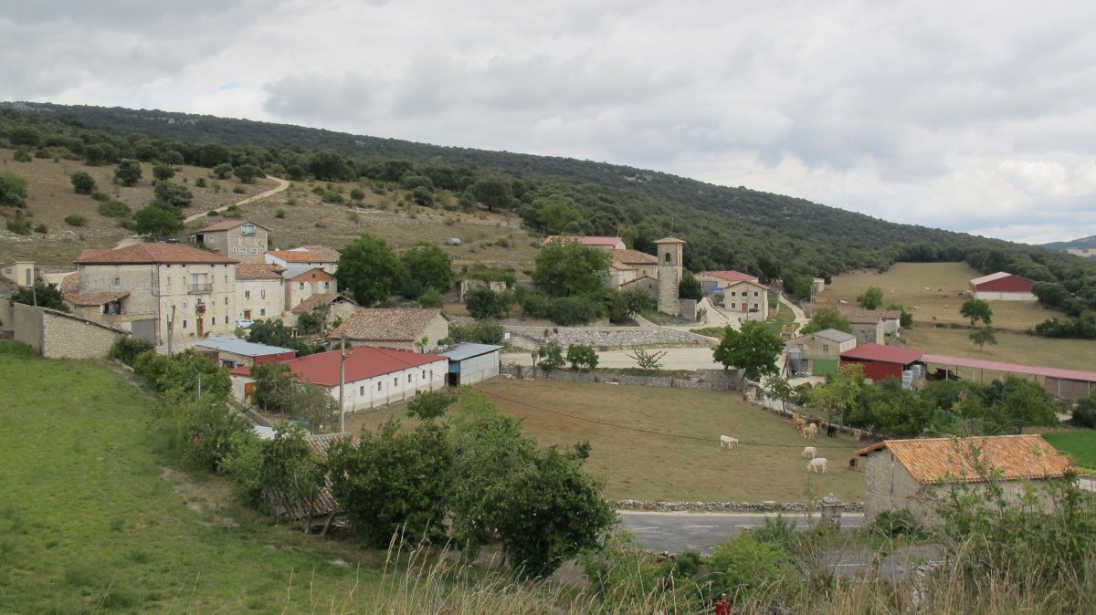 Ginea