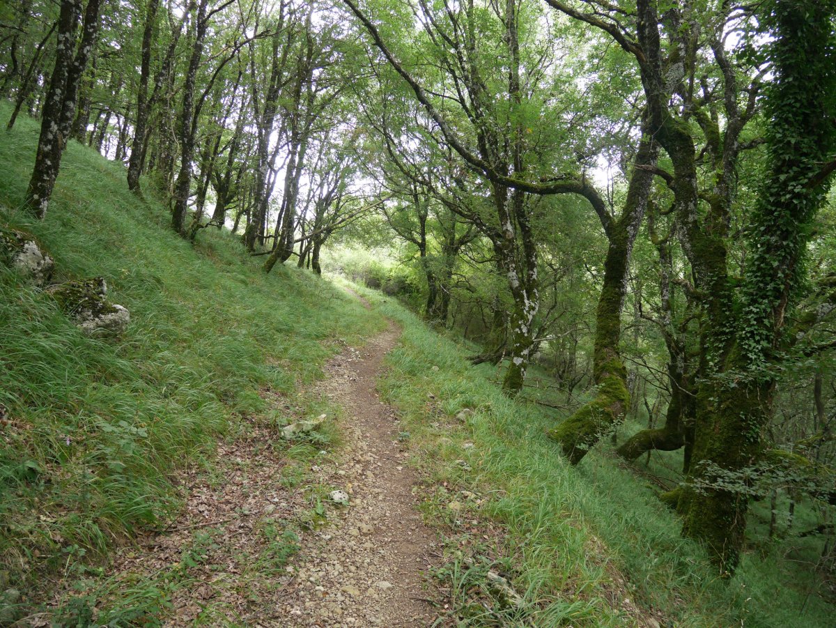 Argaingo hegian gora