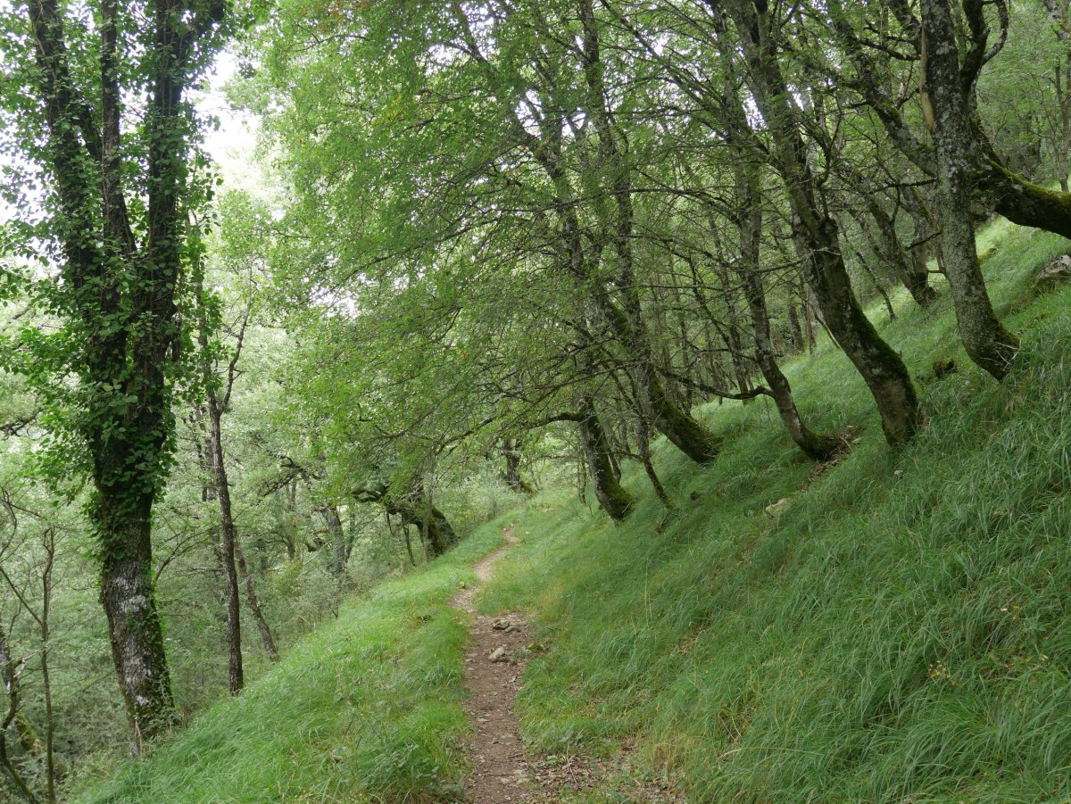 Argaingo hegian gora