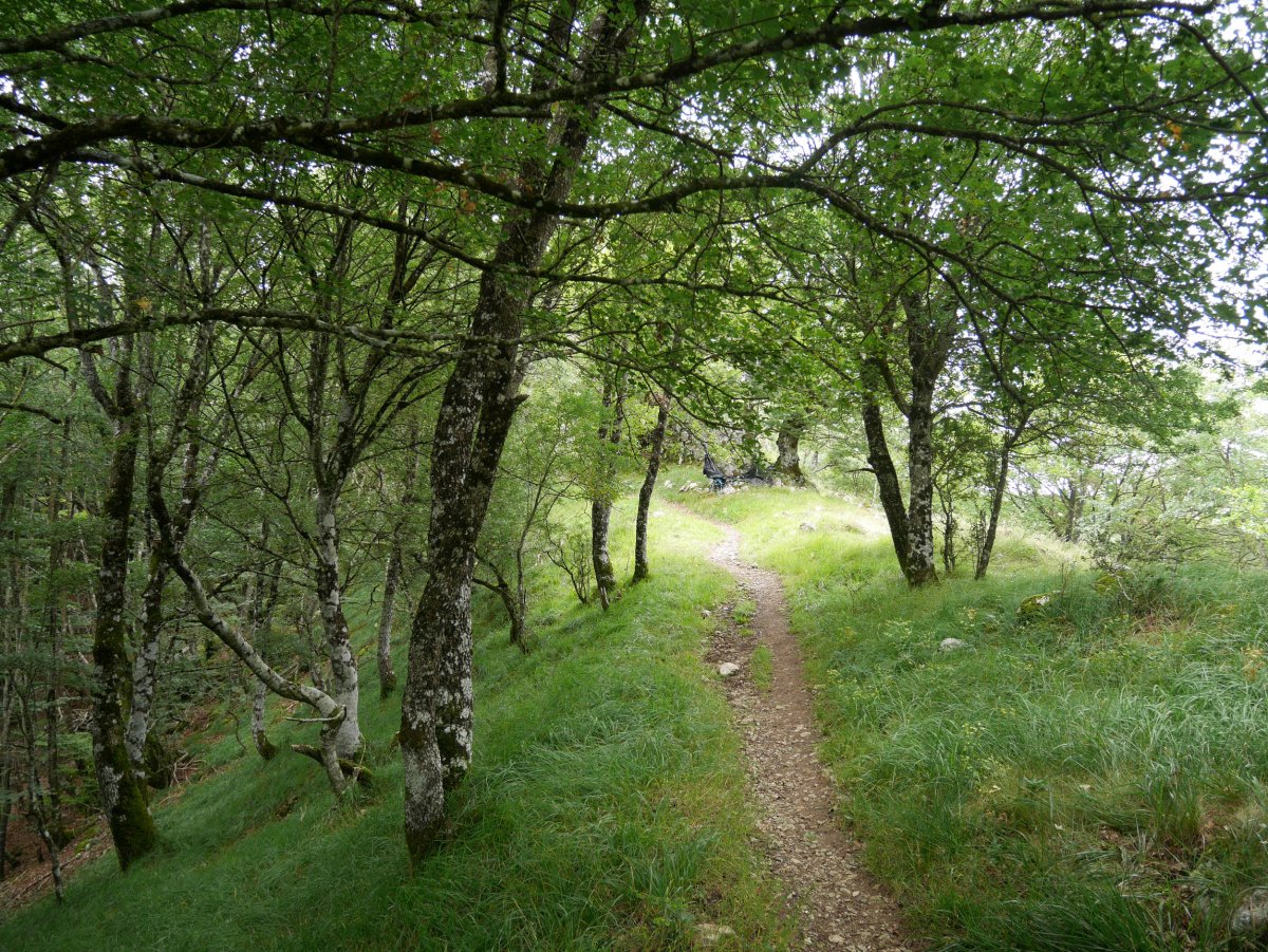 Ergako igoera Latasa aldetik