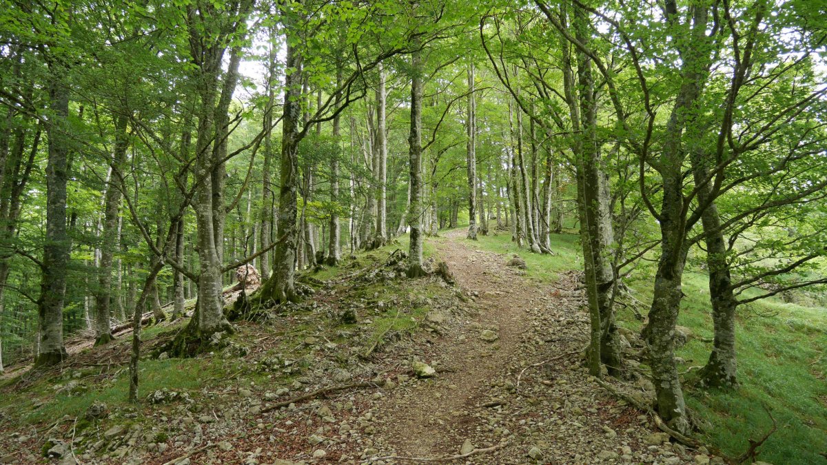 Ergako Latasa aldeko igoera