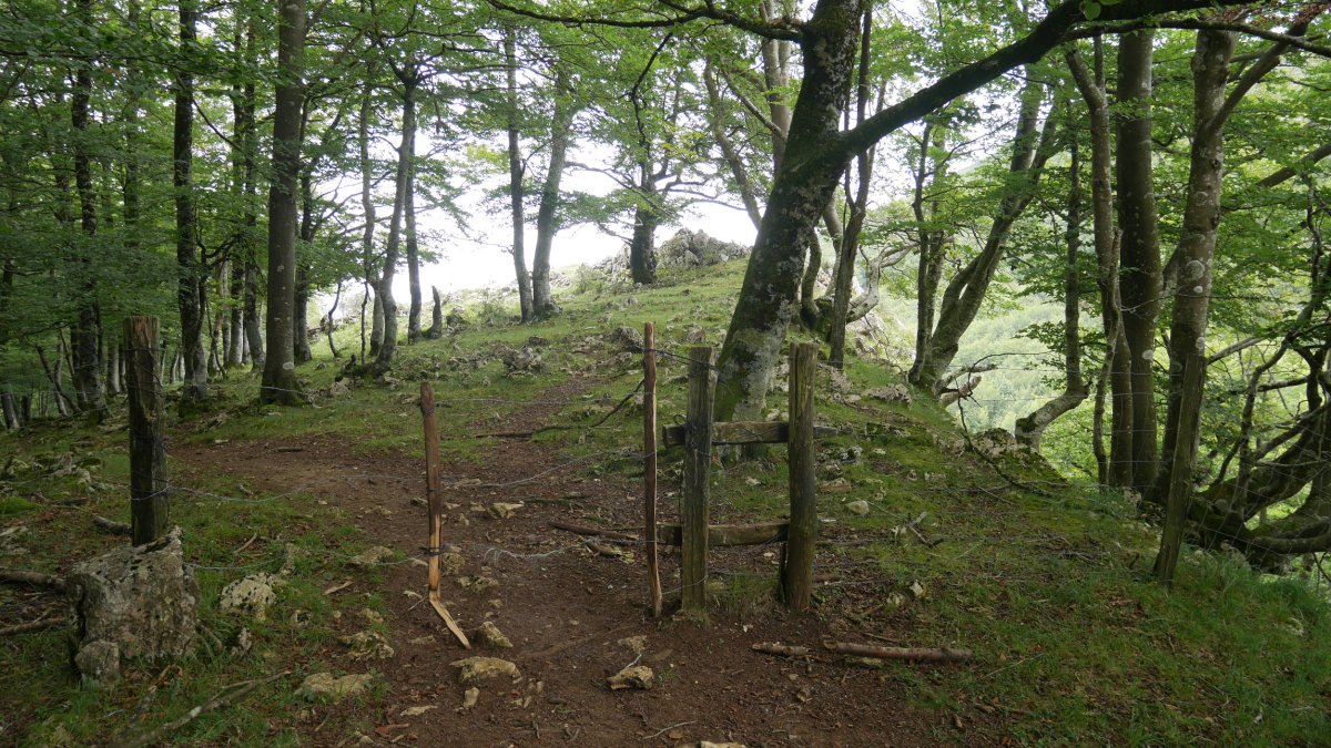 Artola gainera heltzen