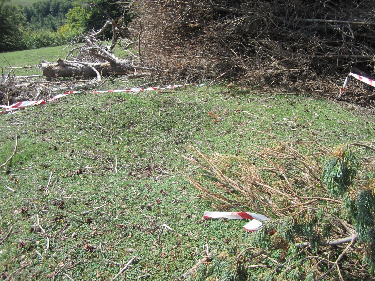 Estropicio  Dólmen Gaztanbidea    (Agosto 2014)