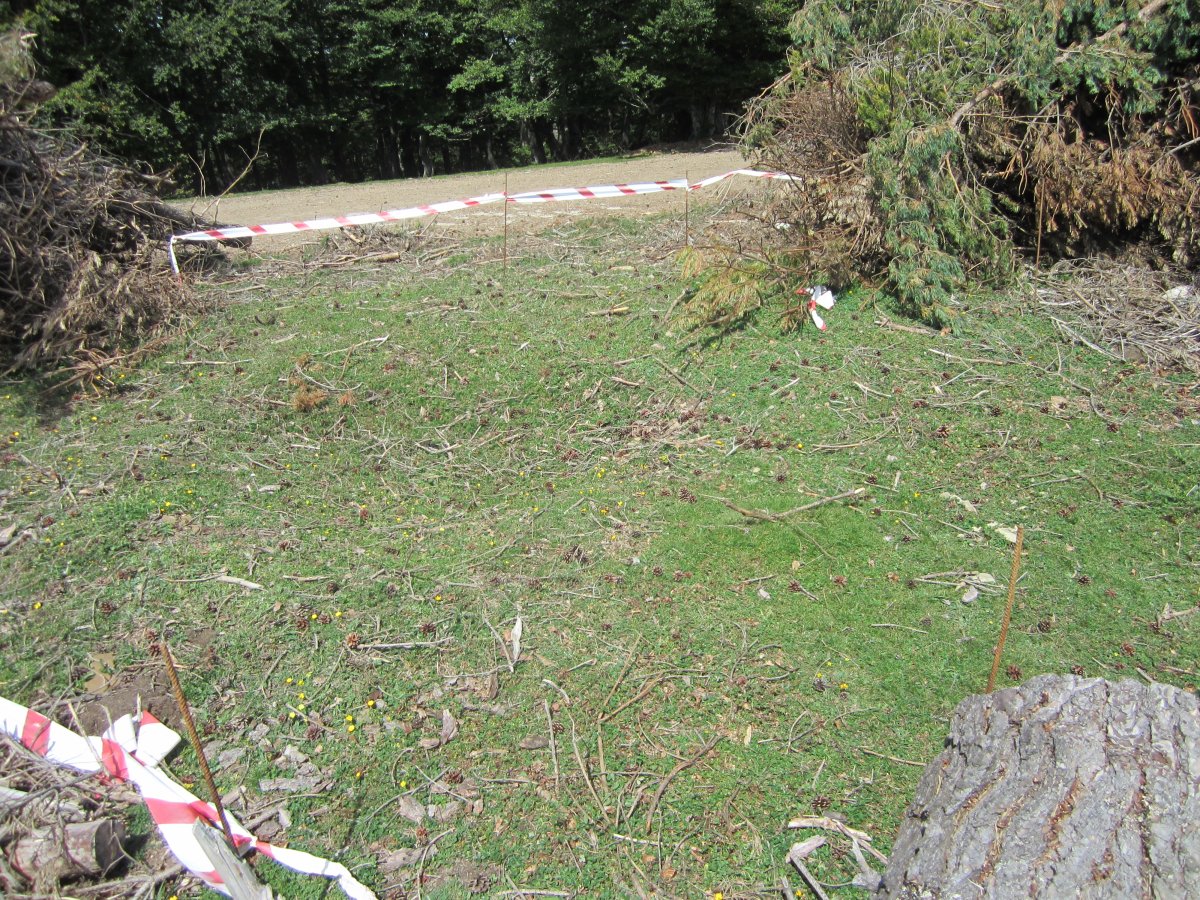 Estropicio Dólmen Gaztanbidea (Agosto 2014)