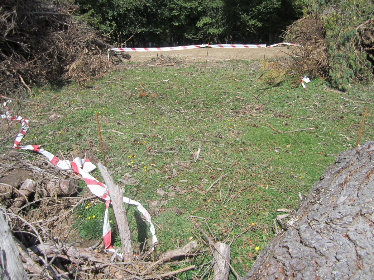 Estropicio Dólmen Gaztanbidea (Agosto 2014)