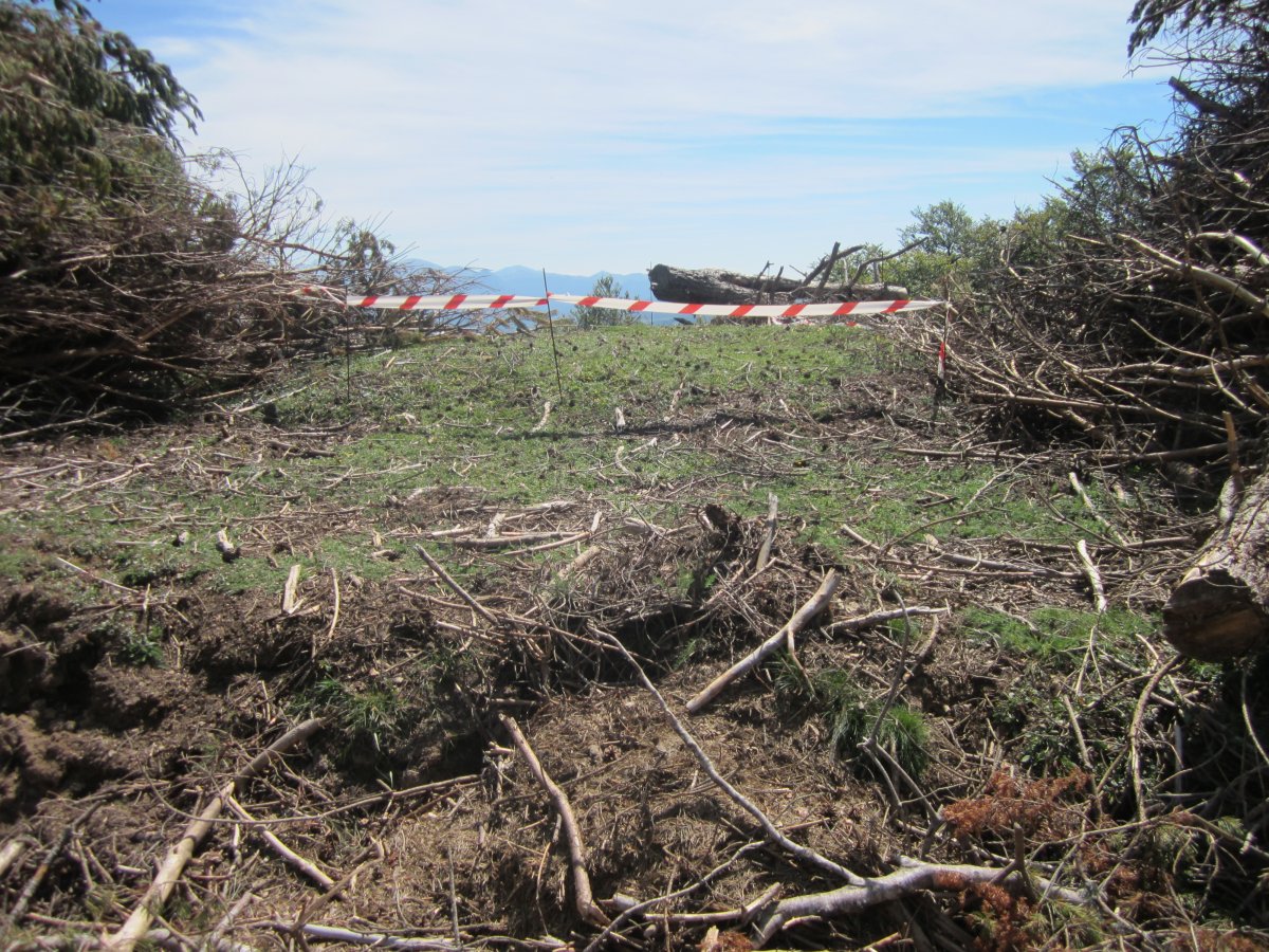 Estropicio  Dólmen Gaztanbidea    (Agosto 2014)