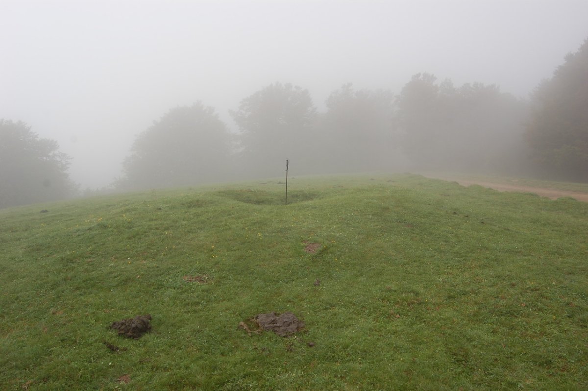 Dólmen Gaztanbidea  (Junio   2009) Foto de J.M.Martínez Txoperena