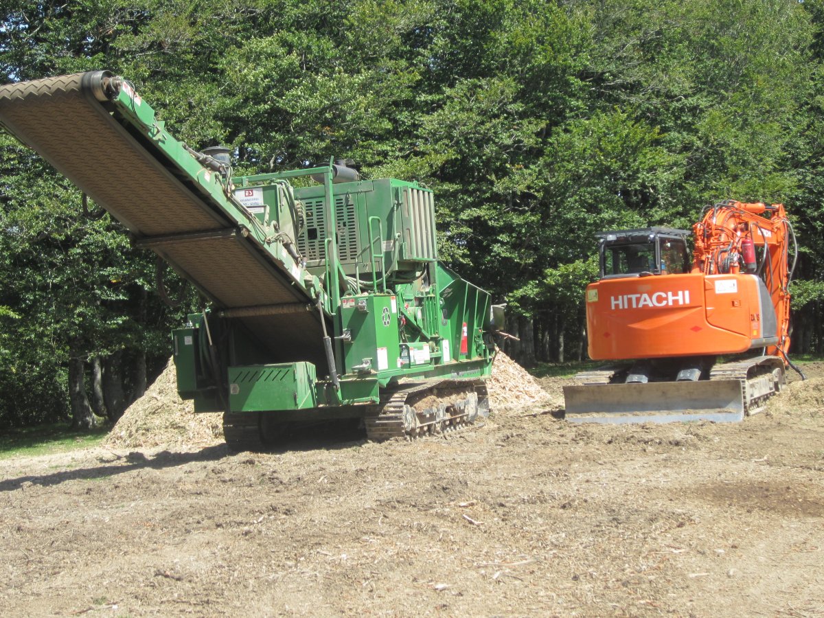 Estropicio Cromlech Gaztanbide (Agosto 2014)