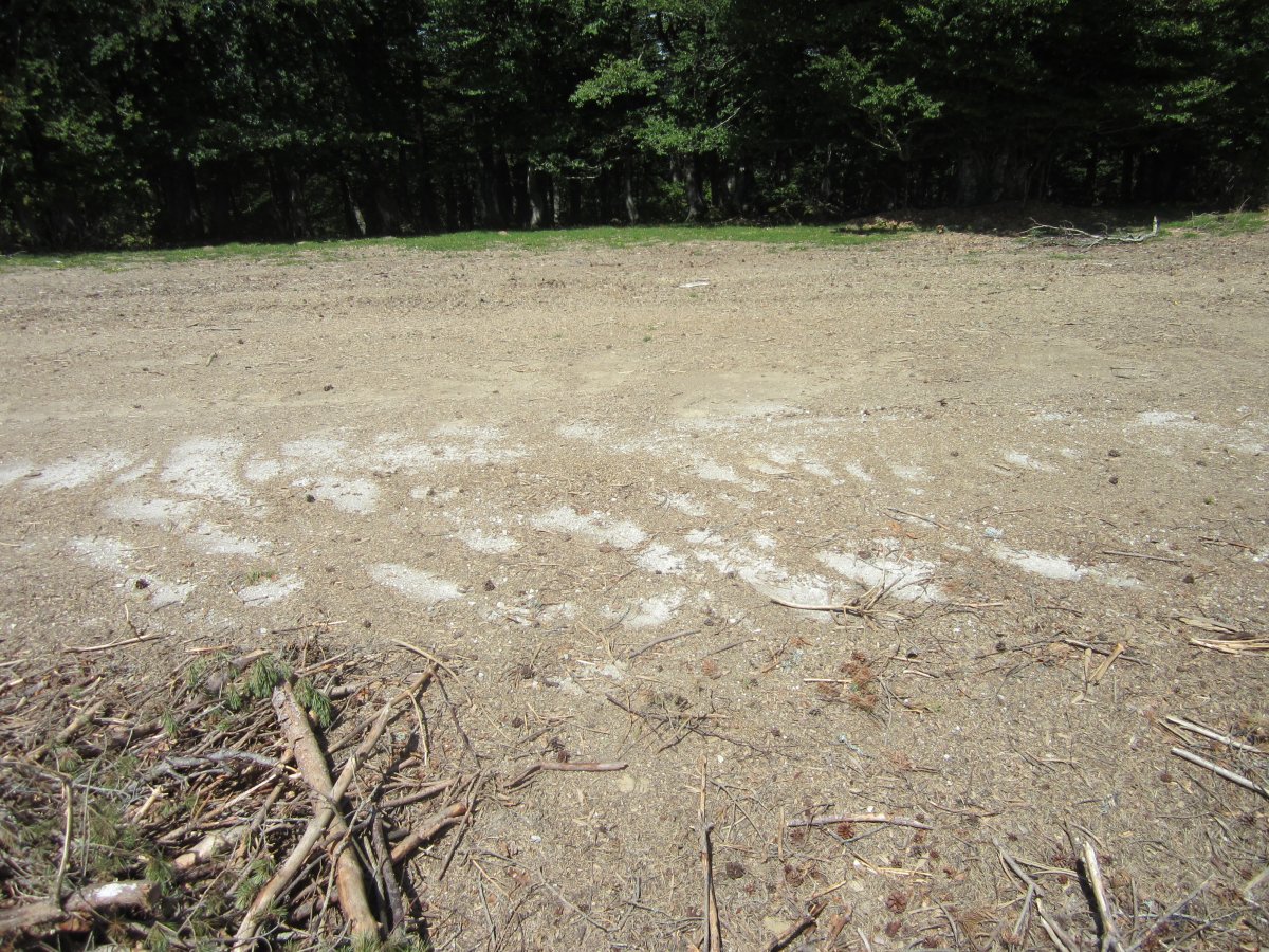 Estropicio Cromlech Gaztanbide (Agosto 2014)
