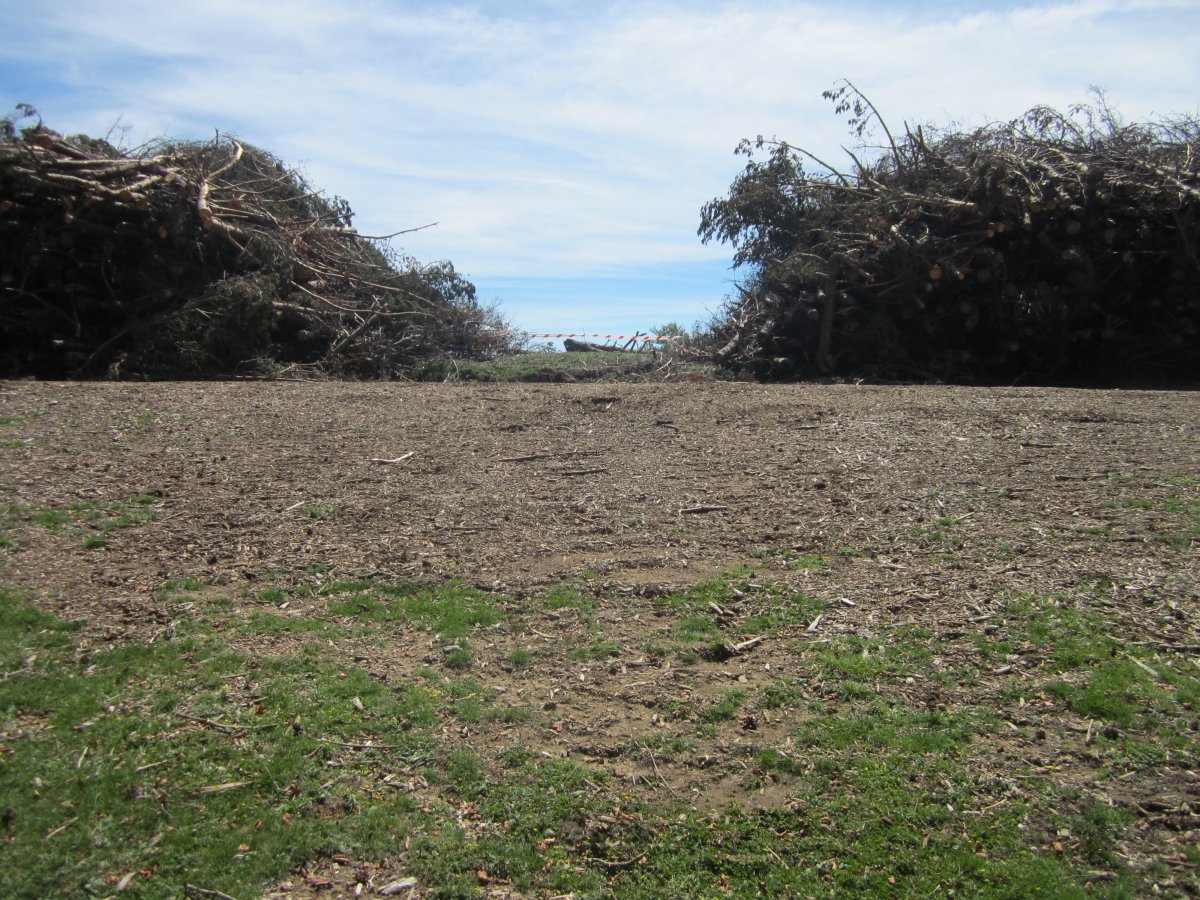 Estropicio Cromlech Gaztanbide (Agosto 2014)