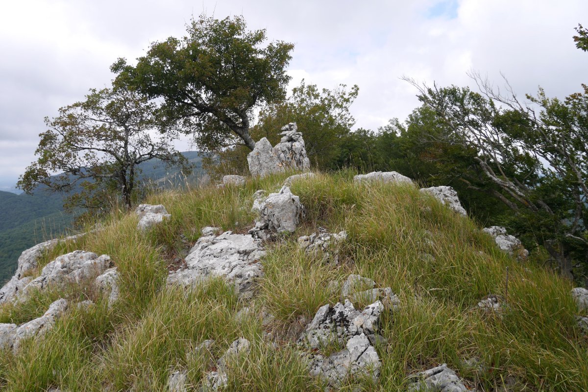 Mundumalkorra tontorra